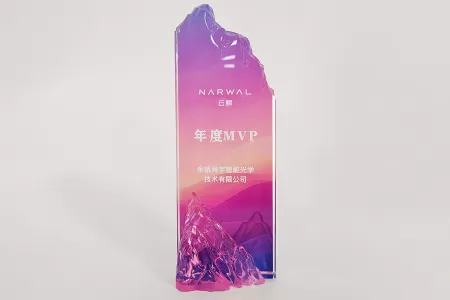 喜报|舜宇智能光学荣获云鲸「年度MVP奖」！